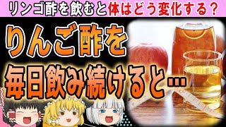 【ゆっくり解説】ダイエットや糖尿病の予防に⁉リンゴ酢を飲み続けると起こる変化とは