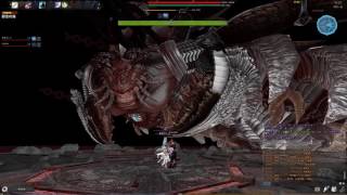 マビノギ英雄伝 決死隊 ベラ ペア vindictus goddess neamhain vella duo