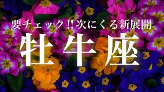 9月15日〜10月15日♉️あなたは私の最愛の人。これまでのすべての事が願いを叶える力に変わる。心の声が愛と豊かさへの導き｜牡牛座｜タロットセラピー