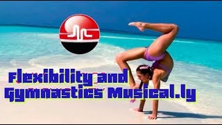 Best Flexibility and Gymnastics Musical.ly Compilation