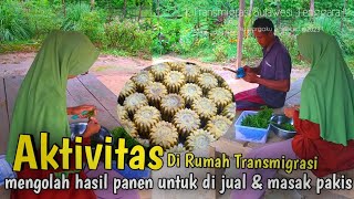 KEHIDUPAN DI TRANSMIGRASI ‼️ BIKIN KUE HASIL PANEN || MASAK GULAI  PAKIS IKAN ASAP  ‼️