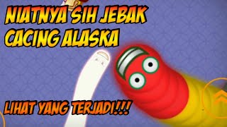 Niat Jebak Cacing Alaska!! Lihat Yang Terjadi!!! - Worms Zone Indonesia #3