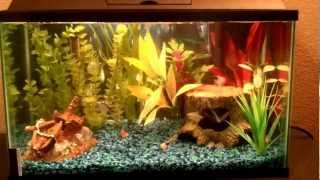 10 Gallon Freshwater Aquarium With Aqua-Tech 5-15 Filter