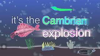 It’s the Cambrian explosion 💥