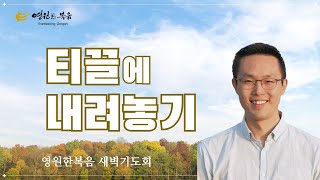 [새벽기도회] 250103 티끌에 내려놓기 - 권빛 목사