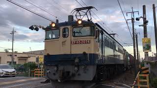 EF65-2074号機+コキ100系18両 貨物 通過