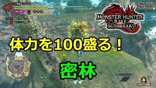 約1分30秒で体力上限を250まで盛る！（密林）　モンハンサンブレイク  [MHSB]