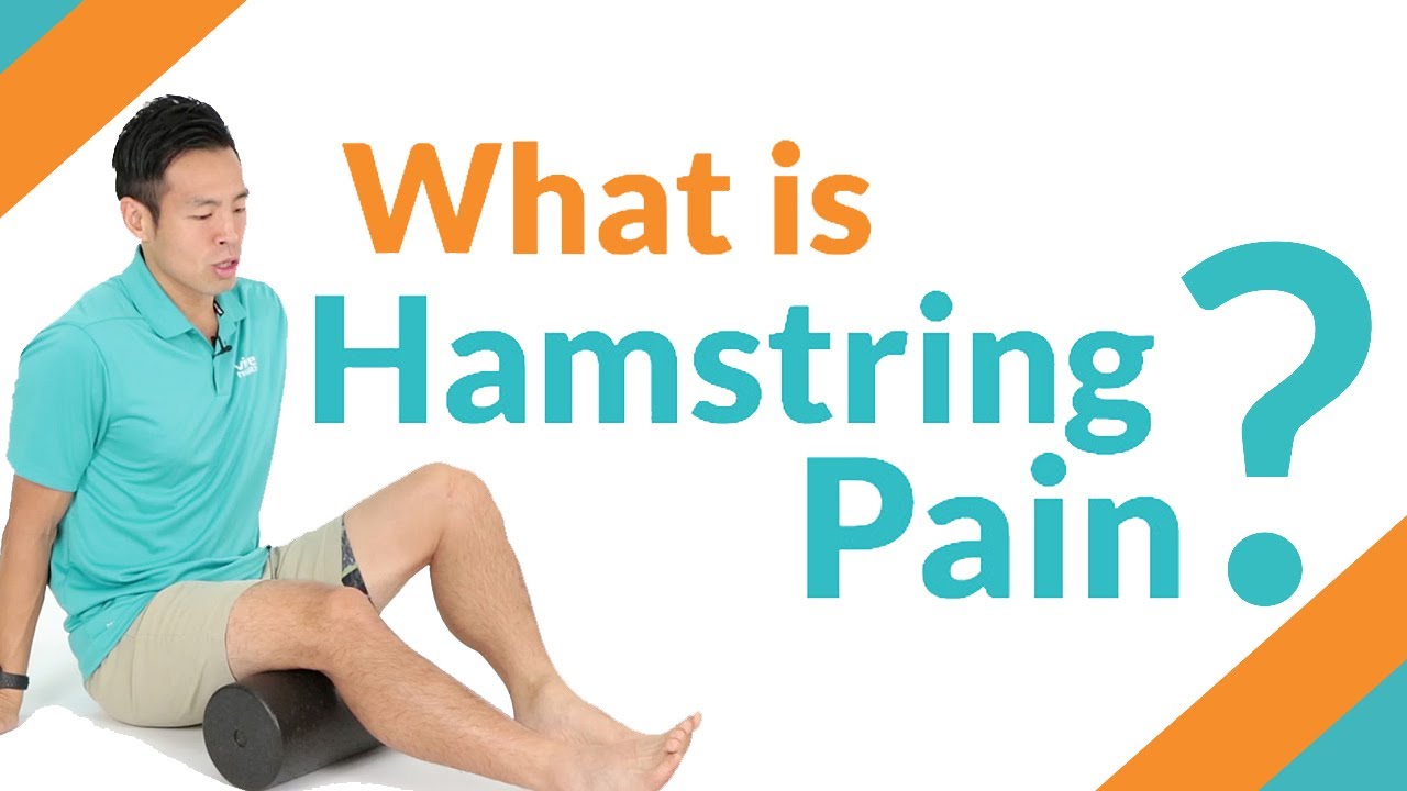 Pulled Hamstring Back Pain At Lara Caley Blog