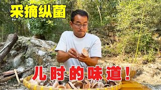 又要进山找枞菌焖腊肉，儿时的乐趣，儿时的味道 【乡野云松】#我的乡村生活 #我的乡野山居生活 #乡村美食 #乡野美食 #大自然的馈赠