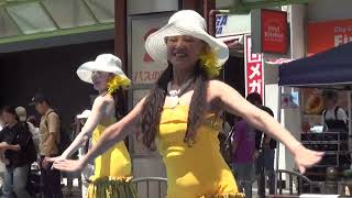 ２０２４年蒲田駅東口ファミリーフェスティバル   フラダンス②   2024 Kamata Station East Exit Family Festival Hula Dance ②