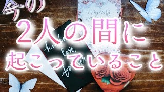 【驚きの展開/厳しめあります🥀】相手の気持ちをタロットで深掘りカードリーディング🕊ルノルマンオラクル片思い複雑恋愛✨個人鑑定級占い