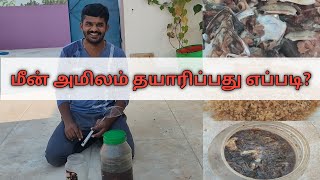 மீன் அமினோ அமிலம் தயாரிப்பது எப்படி? How to Prepare Fish Amino Acid Fertilizer in Tamil?