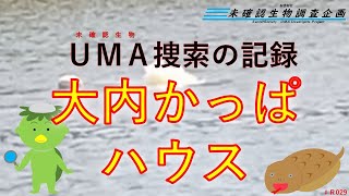 【未確認生物調査企画】現地調査　大内かっぱハウス（2025.1.11）