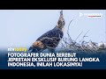 Puluhan Fotografer Berburu Foto Burung Langka di Lereng Gunung Semeru, Lumajang | NTV TODAY