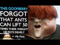 he forgot ants can lift 50 times their weight