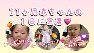 【密着】11ヶ月赤ちゃん休日の1日