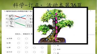 一年级科学作业与活动本第36页-订正