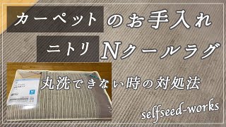 【掃除】丸洗いできないカーペットのお手入れとニトリのウレタン入接触冷感ラグ