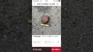 【ナニコレ？】メルカリのよく分からない商品を紹介してみたww #shorts