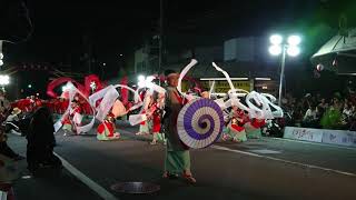 濱長・花神楽　高知よさこい祭り2018升形1日目