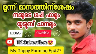 3 മാസത്തിന് ശേഷം നമ്മുടെ ഫാം \u0026 Youtube Channel | Guppy kerala | My farming Ep#27 | Guppy Valarthal