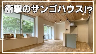 【リノベマンション】衝撃のサンゴハウス！？見た目も機能性も文句なしのマンション！(大阪府高槻市　物件紹介）ルームツアー