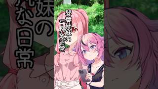 琴葉姉妹の平凡な日常 238『ヒメのスマホ⑬』【#VOICEROID劇場】