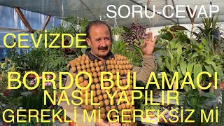 SORU-CEVAP CEVİZDE BORDO BULAMACI NASIL YAPILIR, GEREKLİ Mİ GEREKSİZ Mİ? Ceviz Adam Ahmet