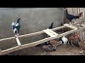 Random Vlog on 4 December 2024 #ayam Bangkok #seramachicken #freerangechickens #ayamkampung