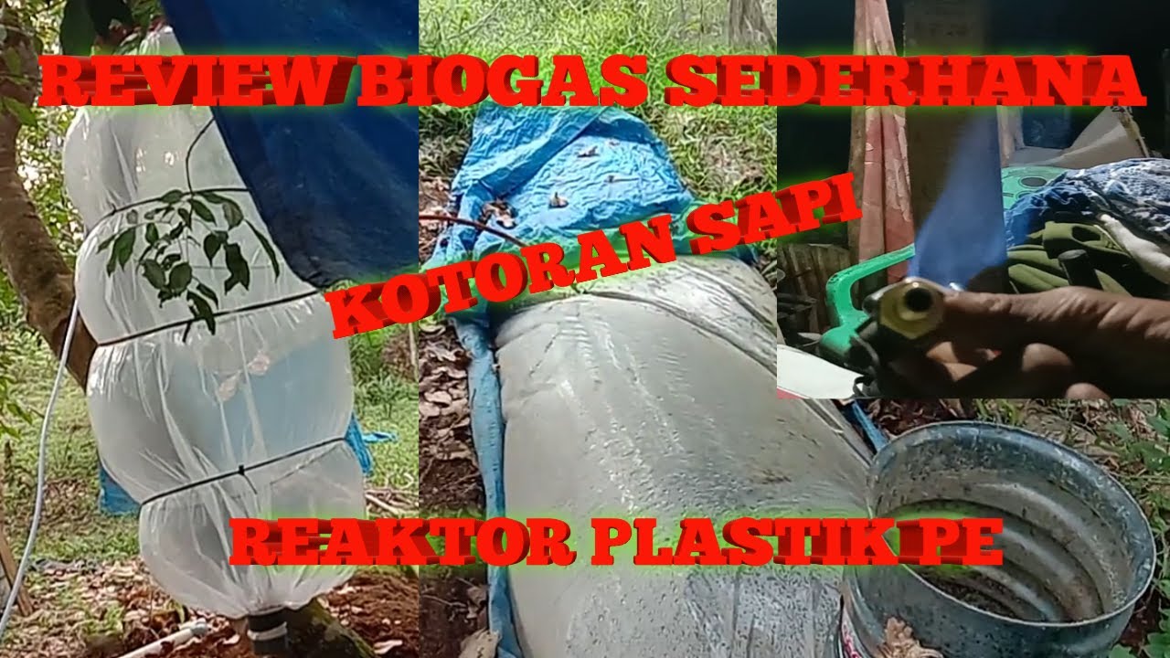 REVIEW BIOGAS SEDERHANA DARI KOTORAN SAPI - YouTube