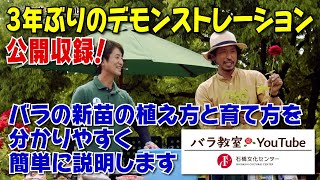 バラ教室YouTube26【バラの新苗の植え方と育て方を分かりやすく簡単に説明します ～3年ぶりのデモンストレーション、公開収録！】