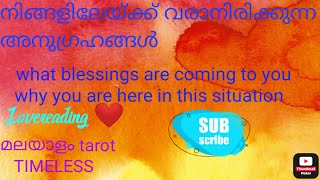 നിങ്ങളിലേയ്ക്ക് വരുന്ന  അനുഗ്രഹങ്ങൾ💯The blessings coming towards your ❤ life#malayalam-tarot #tarot