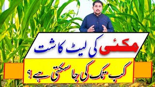 Maximum Late Sowing of Autumn Maize | Best Sowing time Autumn Maize | Apna Kisan Pakistan