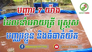 7 បញ្ហរ ដែលធ្វើអោយត្រីstress ត្រីបញ្ឈរខ្លួន និងធំធាត់យឺត