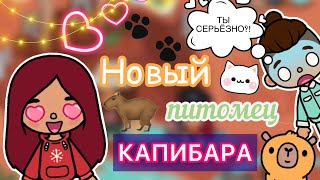 Новый питомец КАПИБАРА 🤯🐾💕 / Toca Life World  / тока бока / toca boca / Secret Toca