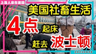 【上海人家在美国】美国社畜生活，4点起床赶去波士顿｜美国移民｜美国创业｜海外华人的日常生活｜日常更新#20230828 #2023230