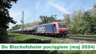 Przy torach: Do Bischofsheim pociągiem (maj 2024)