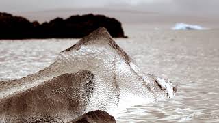 Boreal Taiga - Devon Ice Cap MOE. Nunavut footage filmed by @richardsidey