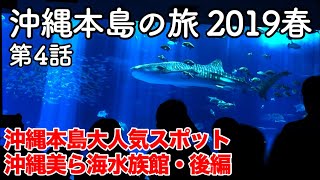 【沖縄旅行】沖縄本島の旅 2019春 第4話 〜沖縄本島大人気スポット 沖縄美ら海水族館・後編〜 【Okinawa Churaumi Aquarium】