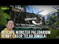 RESCAPE MONSTER PALUDARIUM DENNY CAGUR TELAH DIMULAI DENGAN KONSEP AQUASCAPE JUNGLE