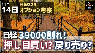 【日経225オプション考察】11/14 日経平均 39000円割れ！ ここから押し目買い？それとも戻り売り？