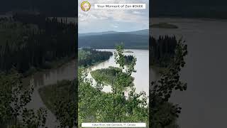 ScienceMan Moment of Zen 0466 #peaceful #river #nature #beautiful #stream #asmr