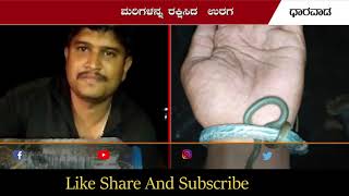 45 snakes rescued by manju bhajantri| ಬರೋಬ್ಬರಿ 45 ಹಾವಿನ ಮರಿಗಳನ್ನ ರಕ್ಷಿಸಿ ಮಾನವೀಯತೆ ಮೆರೆದ ಮಂಜು ಭಜಂತ್ರಿ