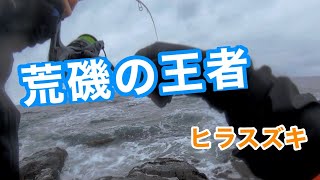 荒磯の王者ヒラスズキを狙って初の磯釣り釣行！！【ヒラスズキ】【シーバス】【山口釣り】【角島】