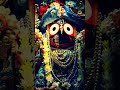 भगवान जगन्नाथ की मूर्ति में स्थापित ब्रह्मा पद का रहस्य jai jagannath sanatandharma shorts.