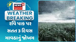 Weather Forecast News: રવિ પાક પર સતત 3 દિવસ માવઠાનું જોખમ | Unseasonal Rain | News18 Gujarati