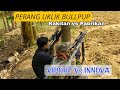 HuNTING BAJING Dengan Bullpup Viport dan Bullpup Innova Joss.. #hunting #bajingkelapa #SNIPERNGESOT