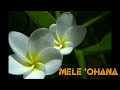 mele ohana