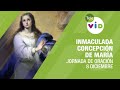 🙏🏻 Jornada de Oración a la Inmaculada Concepción de María 🕯️ #TeleVID