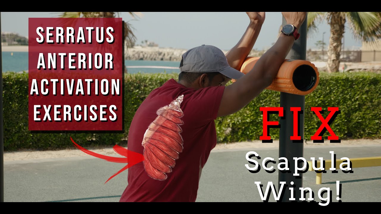 Top 3 Serratus Anterior Activation Exercises (Step By Step) - YouTube